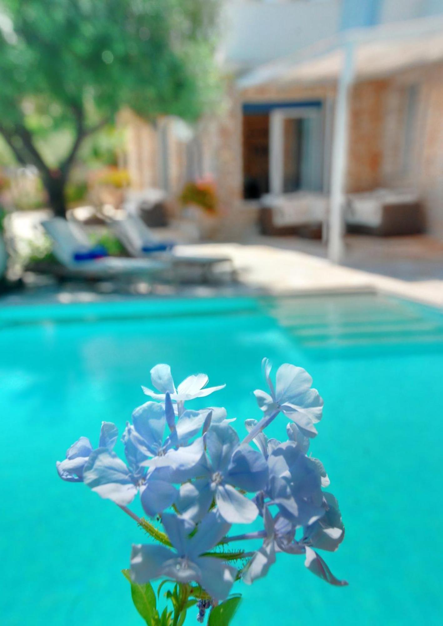 Corfu Luxury Villas Barbati Zimmer foto